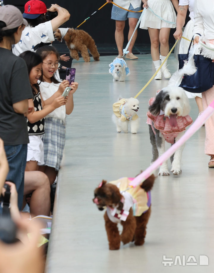 [서울=뉴시스] 홍효식 기자 = 14일 서울 중구 동대문디자인플라자(DDP) 어울림광장에서 열린 '댕댕 런웨이'에서 반려견들이 반려인과 제로웨이스트 패션쇼를 하고 있다. 2025.09.14. yesphoto@newsis.com