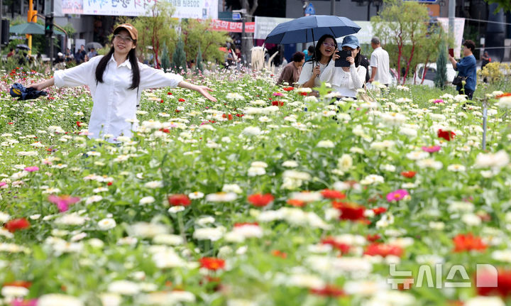 [서울=뉴시스] 추상철 기자 = 완연한 가을날씨를 보인 14일 오후 서울 종로구 열린송현 녹지광장에서 외국인 관광객이 가을꽃을 배경으로 기념촬영을 하며 가을 정취를 만끽하고 있다. 2025.09.14. scchoo@newsis.com