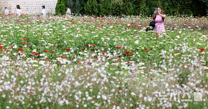 [서울=뉴시스] 추상철 기자 = 완연한 가을날씨를 보인 14일 오후 서울 종로구 열린송현 녹지광장에서 외국인 관광객이 가을꽃을 배경으로 기념촬영을 하며 가을 정취를 만끽하고 있다. 2025.09.14. scchoo@newsis.com