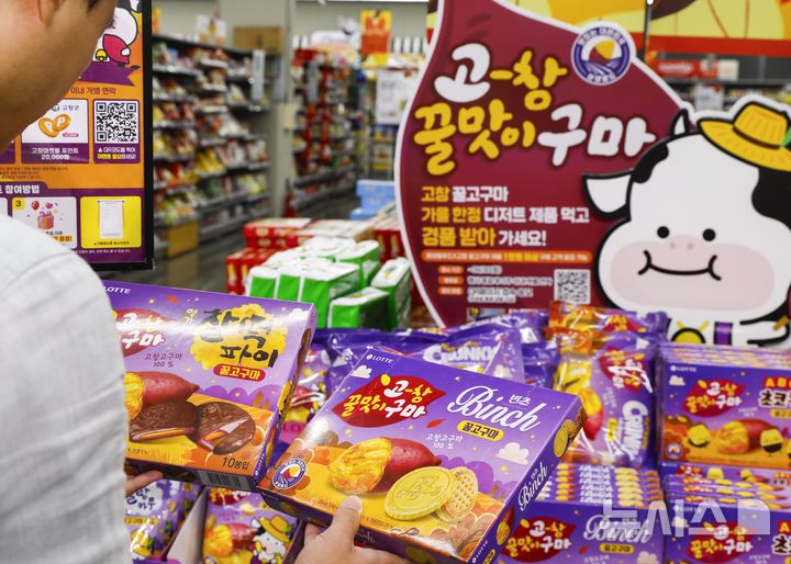 롯데웰푸드 '고창 고구마 시리즈' 출시 2주 만에 품절