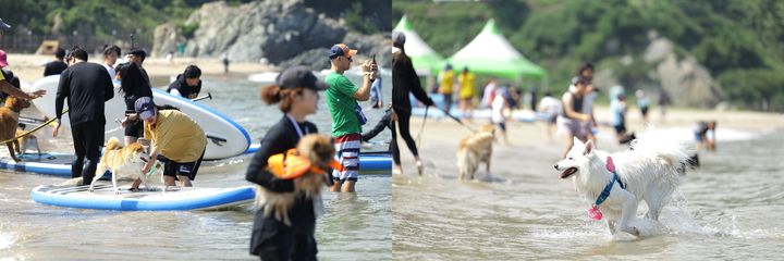 [울산=뉴시스] *재판매 및 DB 금지