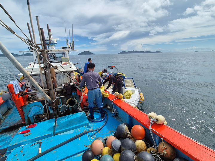 [여수=뉴시스] 여수시 어업지도선이 여수·고흥·완도 경계 해역의 불법 김 양식시설을 단속하고 있다. (사진=여수시 제공) 2025.09.15. photo@newsis.com *재판매 및 DB 금지