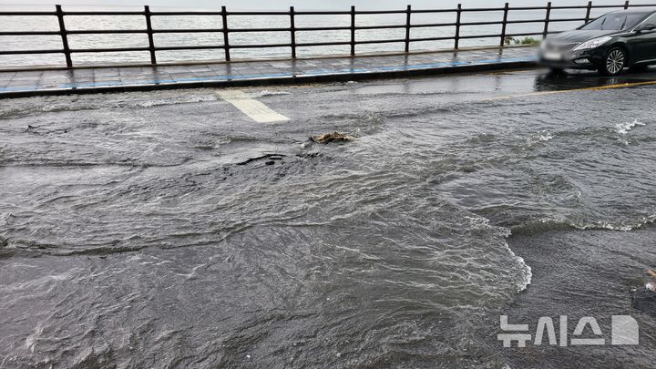 [제주=뉴시스] 호우주의보가 내려진 15일 오후 제주시 오라3동의 한 도로가 침수돼 경찰과 소방당국이 안전조치에 나서고 있다. (사진=제주소방안전본부 제공) 2025.09.15. photo@newsis.com 
