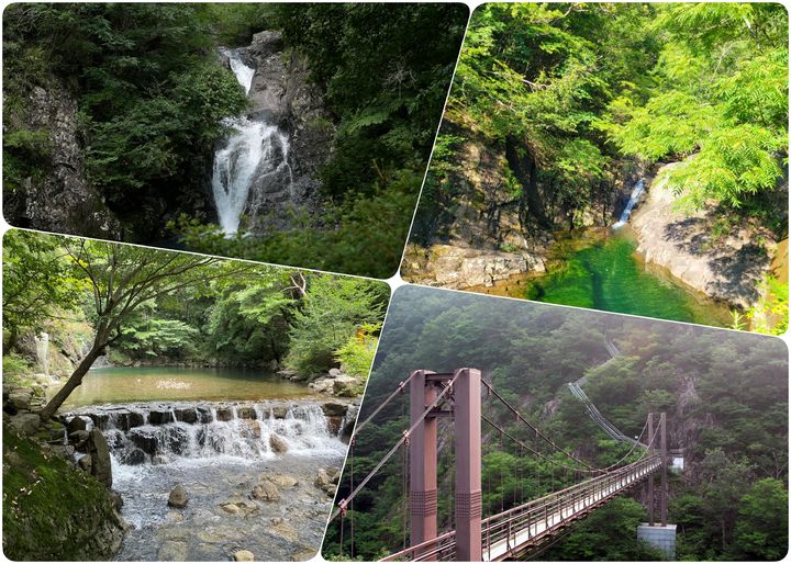 *재판매 및 DB 금지