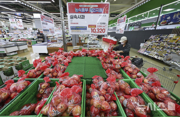 [서울=뉴시스] 김근수 기자 = 15일 서울 시내의 한 대형마트에서 소비자가 사과를 고르고 있다. 2025.09.15. ks@newsis.com