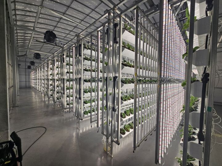 [세종=뉴시스]플랜티팜 수직농장 정식 전경. (사진=농촌진흥청 제공) *재판매 및 DB 금지