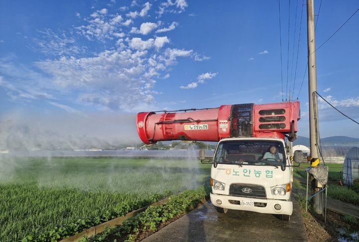 [세종=뉴시스]노안농협 김종성 조합장이 광역방제기로 침수된 논에 방제작업을 실시하고 있다.&nbsp; (사진=농협중앙회 제공) *재판매 및 DB 금지