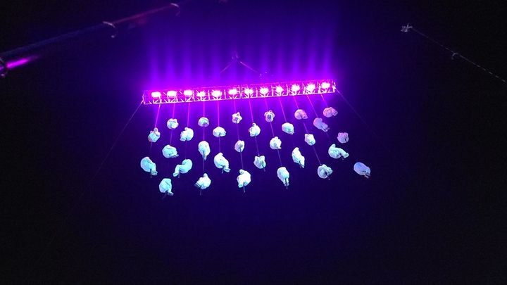 [구미=뉴시스] 구미산단 페스티벌 공중 퍼포먼스. (사진=구미시 제공) 2025.10.06 photo@newsis.com *재판매 및 DB 금지