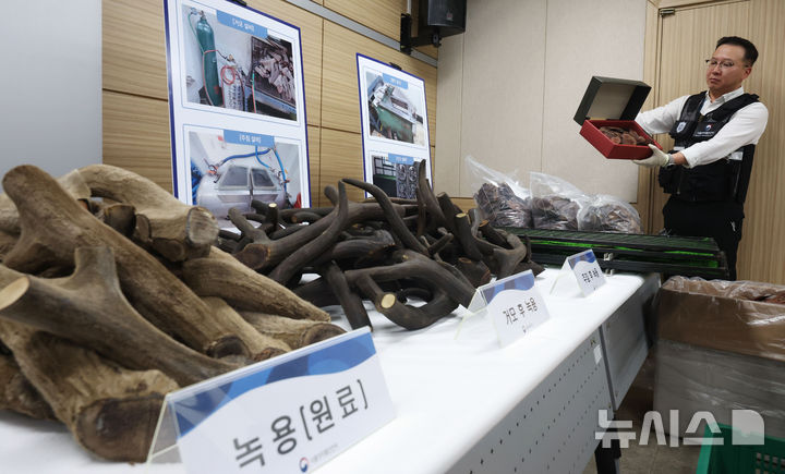 [서울=뉴시스] 홍효식 기자 = 16일 서울 양천구 서울지방식품의약품안전청 브리핑실에서 열린 무허가 의약품 녹용 절편 제조·판매·유통업자 적발 브리핑에서 관계자가 적발된 녹용을 설명하고 있다. 2025.09.16. yesphoto@newsis.com