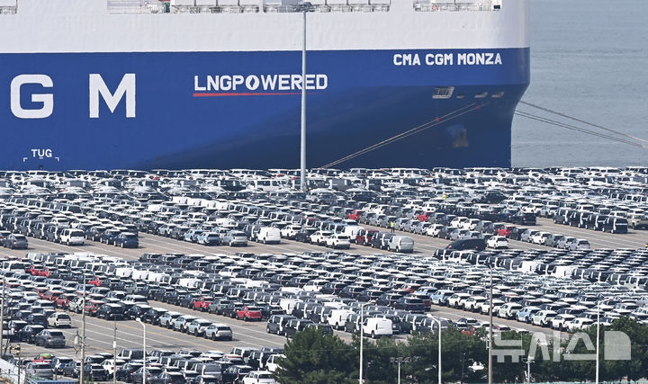 [평택=뉴시스] 김종택 기자 = 미국의 자동차 품목관세 여파로 한국의 대미 자동차 수출이 6개월 연속 전년 대비 감소했다.&nbsp; 사진은 지난 16일 경기 평택시 포승읍 평택항 자동차 전용부두에 수출용 차량이 세워져 있는 모습. 2025.09.16. jtk@newsis.com