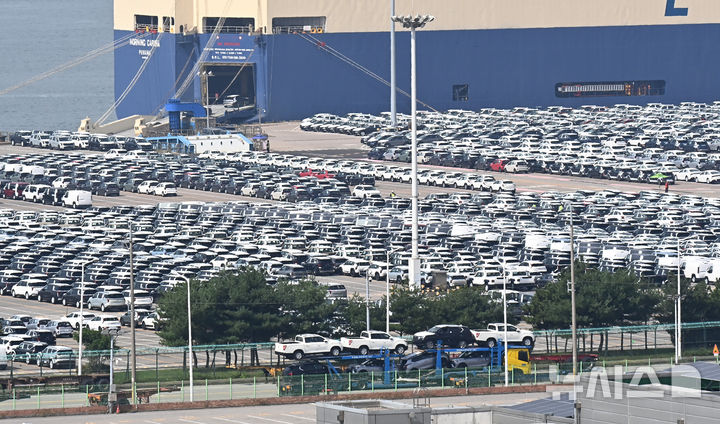 [평택=뉴시스] 김종택 기자 = 지난 16일 경기 평택시 포승읍 평택항 자동차 전용부두에 수출용 차량이 세워져 있는 모습. 2025.09.16. jtk@newsis.com