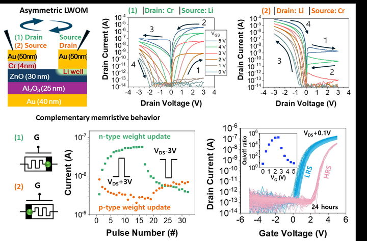[서울=뉴시스] 리튬 기반 멤트랜지스터(Li well memtransistor) 소자의 구조 모식도 및 게이트 단자로 제어 가능한 비휘발 웨이트 업데이트 특성. (사진=경희대 제공) 2025.09.17. photo@newsis.com *재판매 및 DB 금지