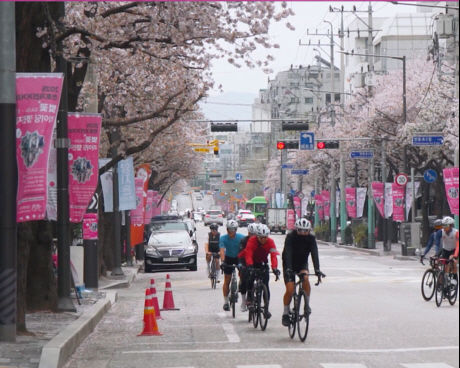 [서울=뉴시스] 벚꽃라이딩 챌린지 현장 모습. 2025.09.17. (사진=강동구 제공) *재판매 및 DB 금지