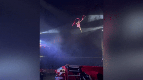 [뉴시스] 브라질에서 열린 한 서커스 공연에서 곡예사가 공중에서 떨어지는 모습. (영상=뉴욕포스트) 2025.9.17 *재판매 및 DB 금지