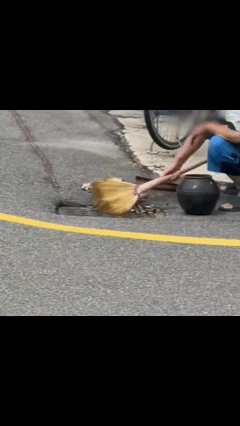 [서울=뉴시스] 군산에서 한 노인이 도로 빗물받이에 담배꽁초와 쓰레기를 버리는 모습 (사진=온라인 커뮤니티 캡처) 2025.09.17 *재판매 및 DB 금지