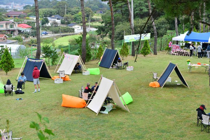 [장성=뉴시스] 전남 장성군 삼서면에서 열린 제1회 장성 푸른들 잔디축제 현장. (사진 = 장성군 제공) 2025.09.17. photo@newsis.com *재판매 및 DB 금지