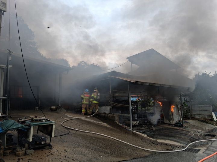 뉴시스 DB *재판매 및 DB 금지