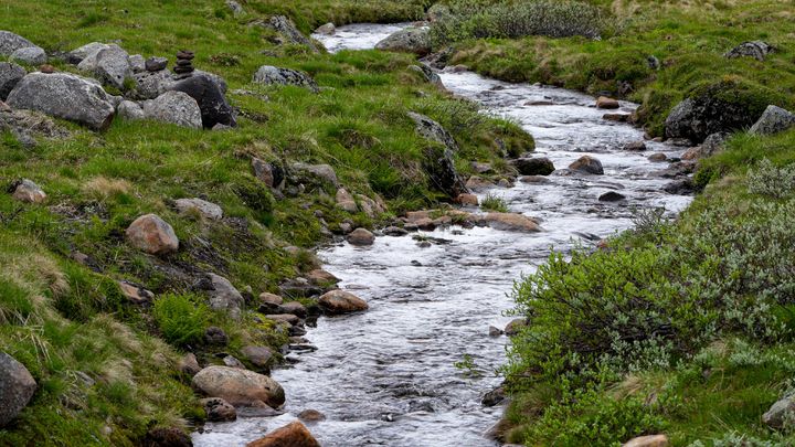 조은희_보이스오브워터(2025)오디오비주얼 *재판매 및 DB 금지