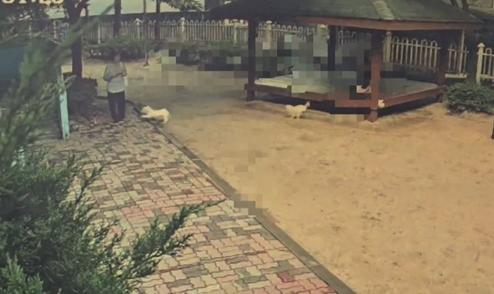 [서울=뉴시스] 어머니가 산책 도중 목줄을 하지 않은 개에게 물리는 사고가 발생했지만 견주는 모르쇠로 일관해 억울하다는 사연이 전해졌다. (사진=온라인 커뮤니티 캡처) 2025.09.18 *재판매 및 DB 금지