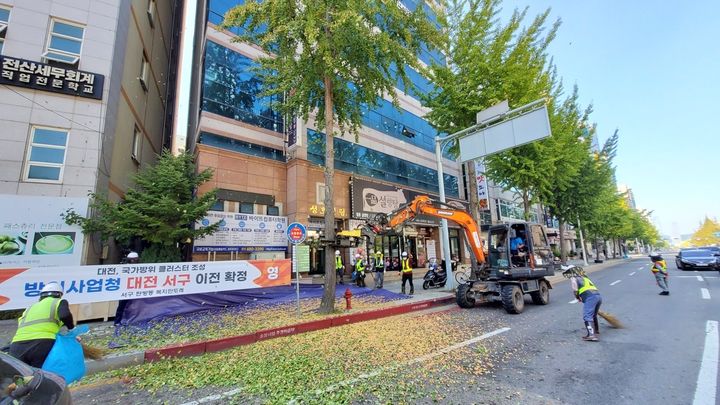 [대전=뉴시스]대전시가 은행나무 열매로 인한 시민 불편 해소를 위해 암나무를 수나무로 교체하는 작업을 하고 있다. 2025. 09. 18 photo@newsis.com *재판매 및 DB 금지