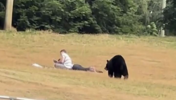 [서울=뉴시스] 캐나다의 한 공원에서 피크닉을 즐기던 커플 뒤로 야생 흑곰이 접근하는 아찔한 장면이 포착됐다. (사진=CBC 갈무리) 2025.09.18 *재판매 및 DB 금지