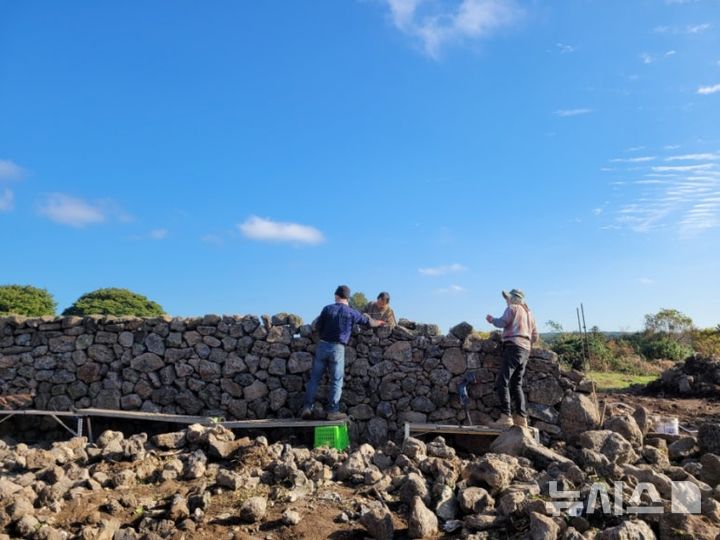 [제주=뉴시스] 제주지역 자연환경을 극복하면서 오랜 기간 이어져 온 '제주 돌담 쌓기'가 제주도 무형유산으로 지정됐다. (사진=제주도 제공) 2025.09.18. photo@newsis.com