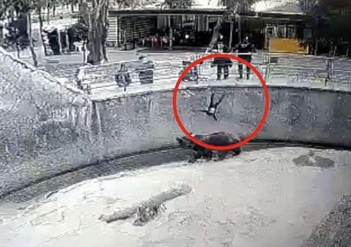 [서울=뉴시스] 3년 전 동물원 곰 우리에 딸을 던졌던 한 여성이 이번에는 딸을 흉기로 찔러 살해한 혐의로 경찰에 붙잡혔다. (사진=데일리메일 캡처) 2025.09.18 *재판매 및 DB 금지