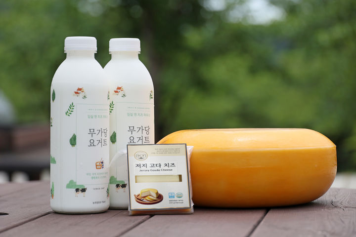 [임실=뉴시스] 임실의 무가당 요거트와 저지종 숙성치즈. *재판매 및 DB 금지