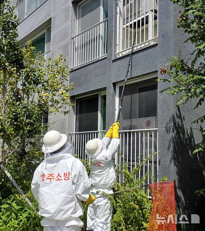 [광주=뉴시스] 광주소방, 아파트 벌집제거. (사진=광주소방안전본부 제공). photo@newsis.com *재판매 및 DB 금지