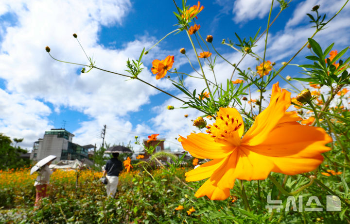 인천, 가끔 구름 많고 큰 일교차…아침까지 안개 주의
