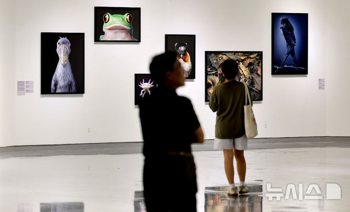 [대구=뉴시스] 이무열 기자 = 18일 대구 달서구 대구문화예술회관에서 개막한 제10회 대구사진비엔날레를 찾은 관람객들이 작품을 감상하고 있다. 대구사진비엔날레는 ‘The pulse of life 생명의 울림’을 주제로 대구문화예술회관 등 대구 시내 주요 장소에서 11월 16일 까지 열린다. 2025.09.18. lmy@newsis.com