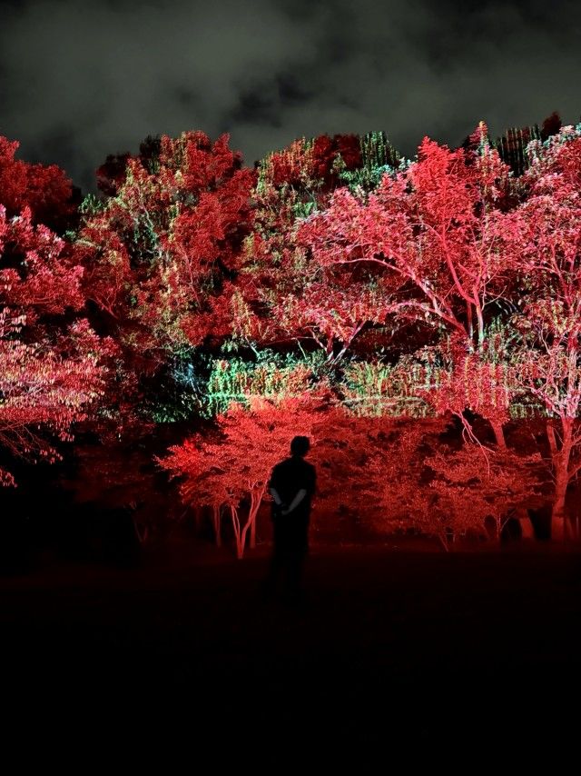 시네포레스트 : 동화의 한 장면. 이진준스튜디오 *재판매 및 DB 금지