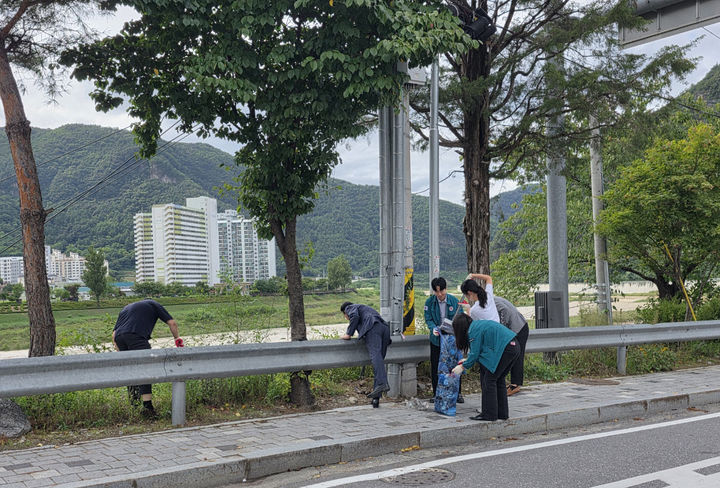 정선군은 지난 18일 기관·단체 회원, 학생, 공무원 등 약 600명이 참여해 정선읍 시가지, 도로변, 하천변 일대에서 대규모 정화 활동을 펼치고 있다.(사진=정선군 제공) *재판매 및 DB 금지