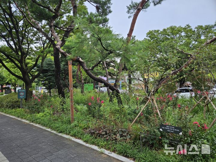 [서울=뉴시스]보라매공원.