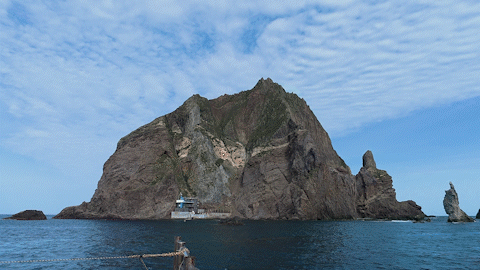 너도나도 '독도 지킴이' 자청…나에게 독도란[독도탐방]⑥