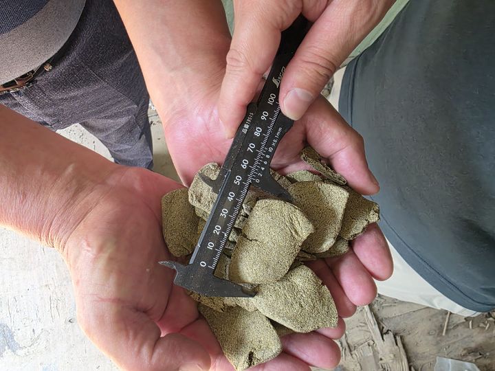 [무안=뉴시스] 전복 대체먹이 배합사료. (사진=전남도 제공) 2025.09.21. photo@newsis.com *재판매 및 DB 금지