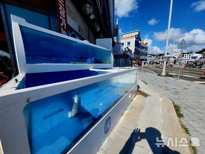 [속초=뉴시스] 이덕화 기자 = 21일 강원도 동해안 대표 관광지인 속초시가 최근 오징어 난전 바가지 요금 및 불친절 등으로 인해 관광객들의 외면을 받고 있는 가운데 대포항 바닷가 횟집센터 점포 수족관 상당수가 텅 비어 있다. 2025.09.21. wonder8768@newsis.com