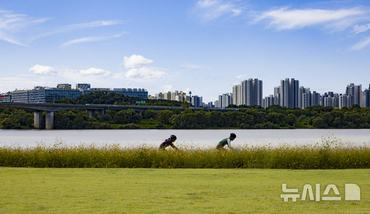[남양주=뉴시스] 김근수 기자 = 완연한 가을 날씨를 보인 21일 경기 남양주시 한강공원삼패지구 황화코스모스 밭 사이에서 시민들이 자전거를 타고 있다. 2025.09.21. ks@newsis.com
