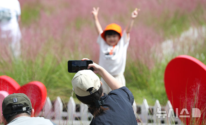[서귀포=뉴시스] 우장호 기자 = 더위가 물러가고 가을 날씨를 보인 21일 오전 제주 서귀포시 남원면 휴애리 자연생활공원을 찾은 관람객들이 활짝 피어난 핑크뮬리를 감상하며 즐거운 시간을 보내고 있다. 2025.09.21. woo1223@newsis.com