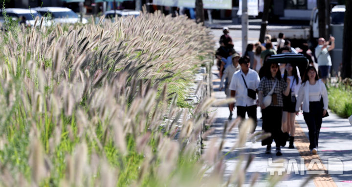 [서울=뉴시스] 김명원 기자 = 완연한 가을 날씨를 보인 21일 오전 서울 종로구 열린송현 녹지광장에 억새풀길을 시민 및 관광객들이 걷고 있다. 2025.09.21. kmx1105@newsis.com