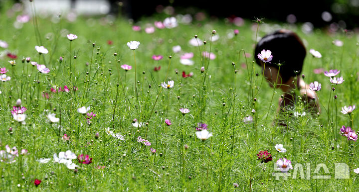 9일 대전충남 대체로 맑음…낮 최고 25도
