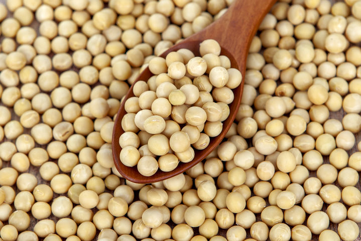 [뉴시스] 기사의 이해를 돕기 위한 이미지. (사진=유토이미지) *재판매 및 DB 금지 *재판매 및 DB 금지