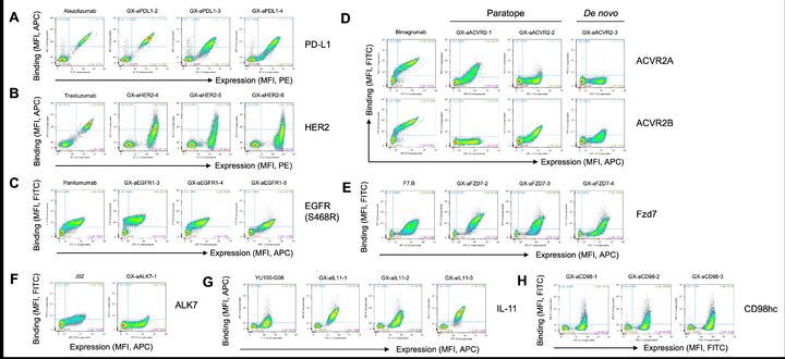 [서울=뉴시스] 갤럭스디자인을 통해 설계된 항체들이 8개의 치료 타겟에 결합함을 나타내는 실험 결과 (사진=갤럭스 제공) 2025.09.22. photo@newsis.com *재판매 및 DB 금지