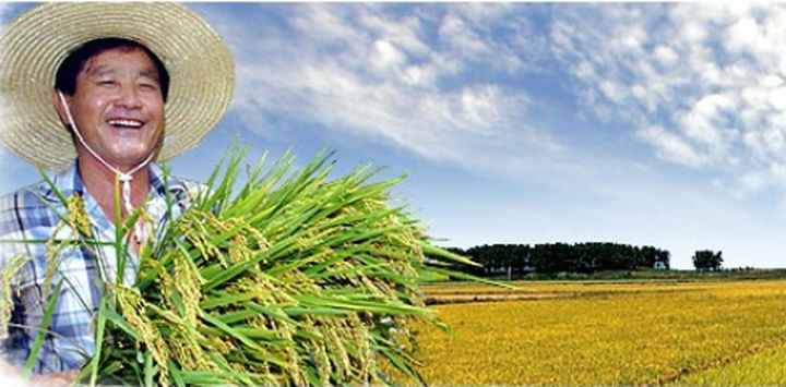 [원주=뉴시스] (사진=뉴시스 DB). photo@newsis.com *재판매 및 DB 금지