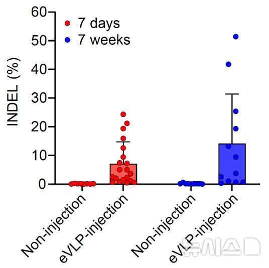 [서울=뉴시스] 난청 마우스 모델에 eVLP 주입 1주 및 7주 때 보인 유전자 편집률, eVLP 주입군은 1주 후(붉은색) 평균 7%, 7주 후(파란색) 평균 14%의 편집 효율을 보였다. (사진= 세브란스병원 제공)