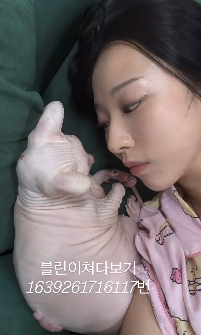 [서울=뉴시스] 배우 김선아가 고(故) 설리의 반려묘 고블린과 함께한 근황을 전했다. (사진=김선아 인스타그램 캡처) 2025.09.22. photo@newsis.com *재판매 및 DB 금지