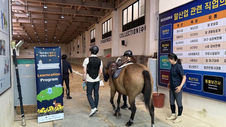 [제주=뉴시스] 제주RISE 대표 사업인 '글로벌 K-교육·연구 런케이션 플랫폼' 참가자가 제주한라대에서 승마를 하면서 배움과 여행을 동시에 진행하고 있다. (사진=제주도 제공) photo@newsis.com *재판매 및 DB 금지