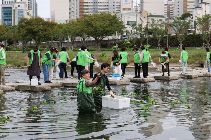 [대구=뉴시스] 대구 중구는 대한민국 새단장 주간을 맞아 자연보호협의회 회원 40여명과 신천 수성교 일대에서 산책로 환경정비와 탄소중립 캠페인을 전개했다. (사진=대구 중구 제공) 2025.09.23. photo@newsis.com *재판매 및 DB 금지