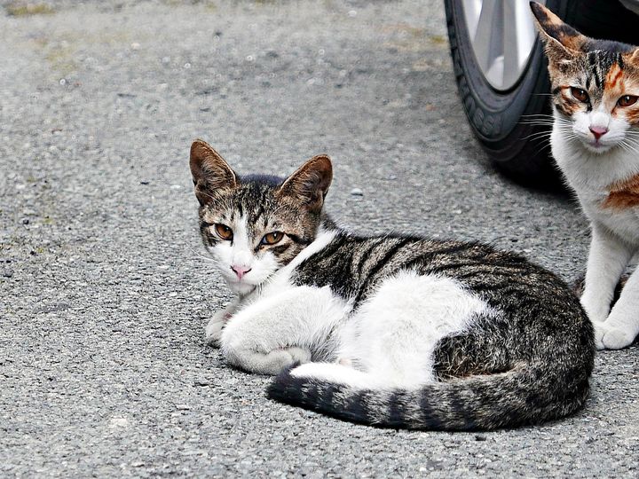 [뉴시스] 기사의 이해를 돕기 위한 이미지. (사진=유토이미지). *재판매 및 DB 금지 *재판매 및 DB 금지