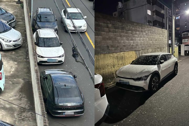 [뉴시스]제주도에서 한 노인이 비둘기에게 지속적으로 먹이를 주면서 차량이 새똥으로 뒤덮이는 등 주민 피해가 잇따르고 있다.(사진=보배드림 캡쳐).2025.09.23 *재판매 및 DB 금지